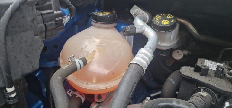 whatsapp image 2026 02 12 at 3.55.30 pm